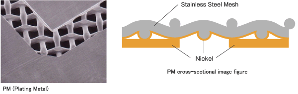 PM (Plating Metal) / PM cross-sectional image figure